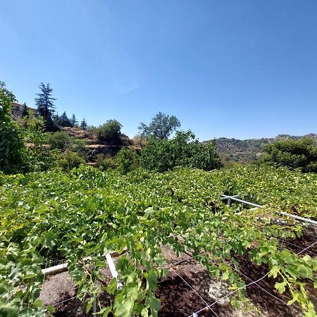ليماسول Agros Green Valley Suites المظهر الخارجي الصورة