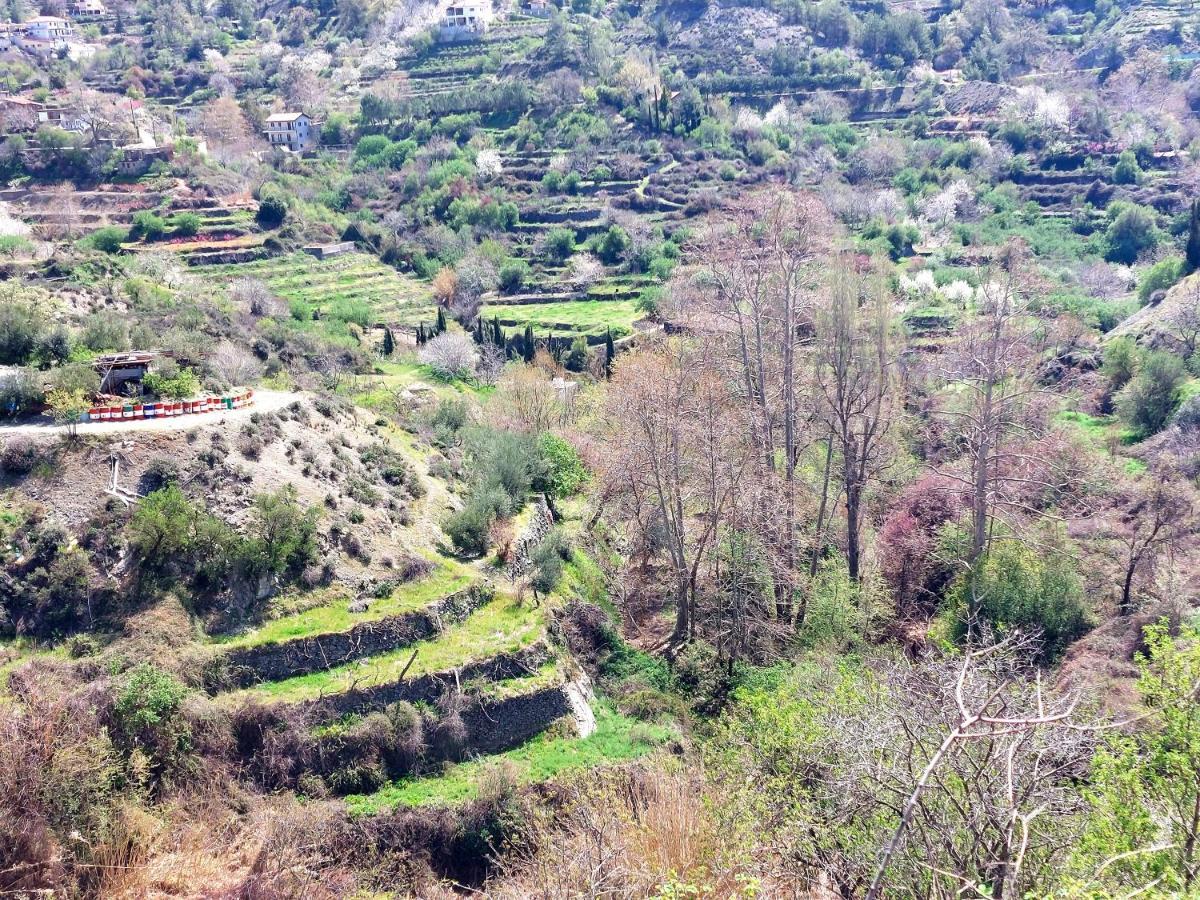 ليماسول Agros Green Valley Suites المظهر الخارجي الصورة