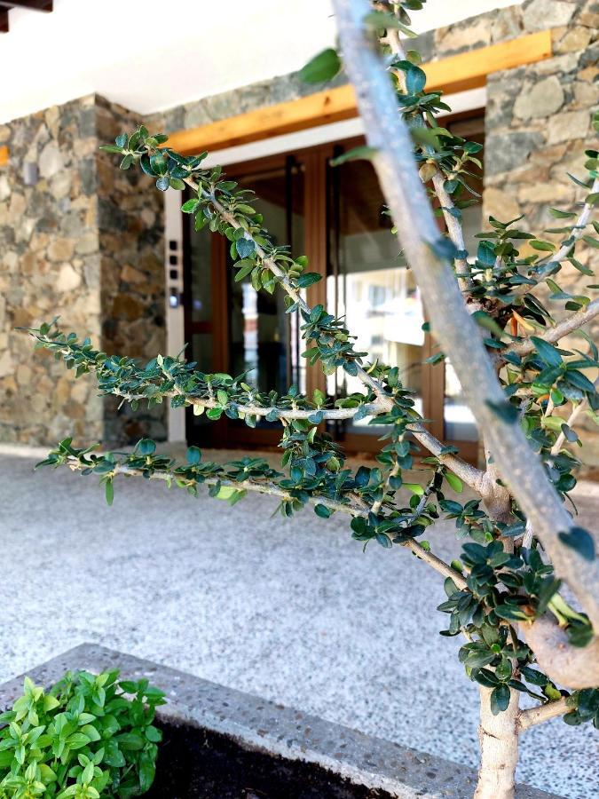 ليماسول Agros Green Valley Suites المظهر الخارجي الصورة