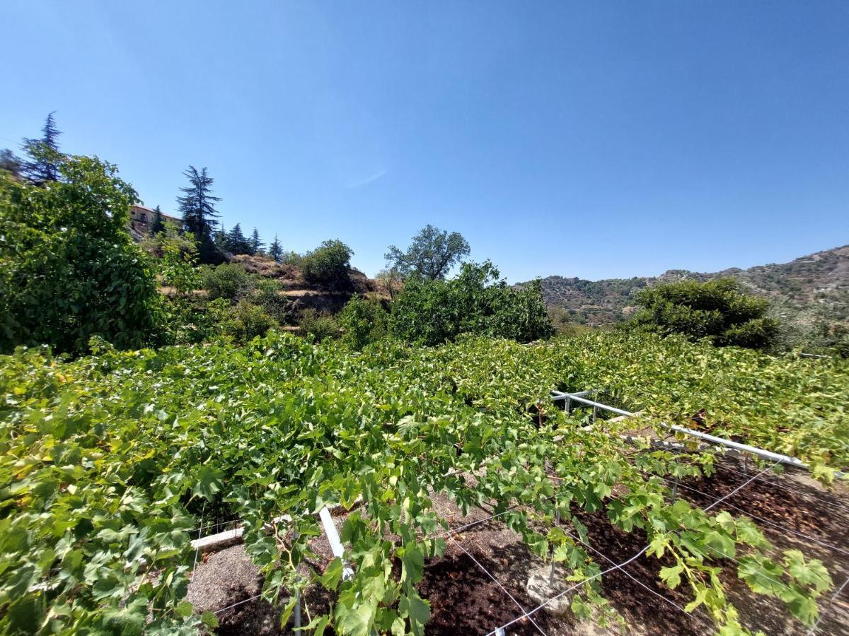 ليماسول Agros Green Valley Suites المظهر الخارجي الصورة