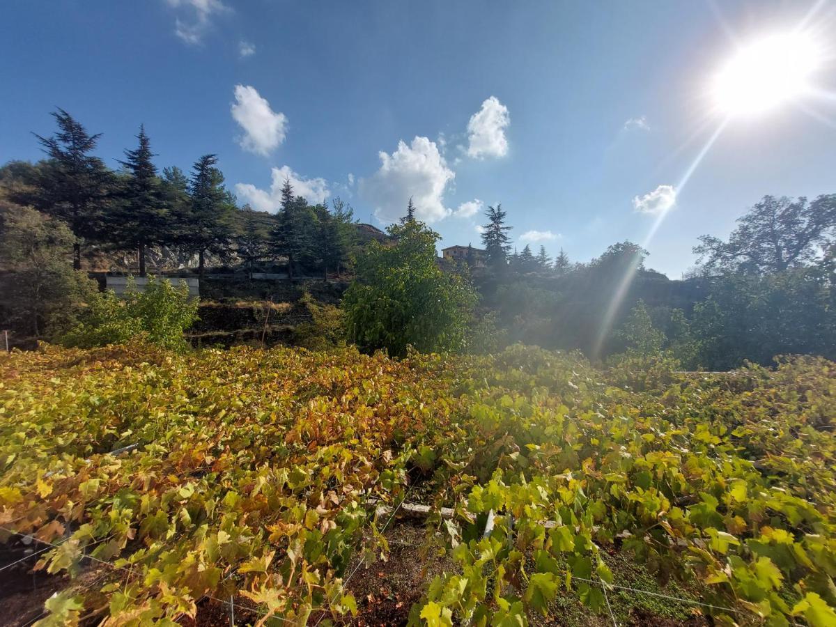 ليماسول Agros Green Valley Suites المظهر الخارجي الصورة